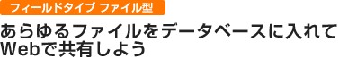 フィールドタイプ ファイル型